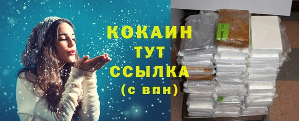 дживик Абаза