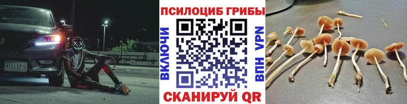 mega как зайти  Нижние Серги  Галлюциногенные грибы Cubensis 